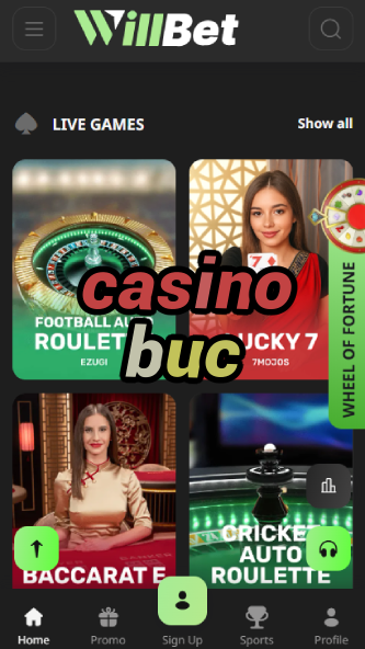 Casino BUC - Best US Casino for Real Money Gambling-777casinobus.ydblkf.net